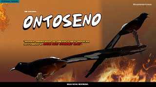 INDUKAN ONTOSENO 26CM ⚠ PENCINTA MB EKOR KLEWER SENANG LIAT INI | NEW JOURNEY FOR 2023 screenshot 1