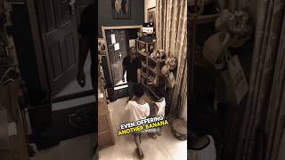 Famous A clever older sister saves her siblings from a stranger Wealth