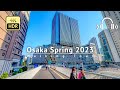 Osaka spring 2023 south to north long walking tour  osaka japan 4k.rbinaural