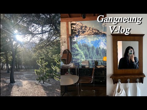 강릉 V-log | 무계획(?) 혼자 떠난 여행, 강릉, 중앙시장, 바다🌊, 힐링 |