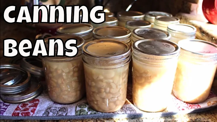Home Canning Northern White Beans With Linda's Pan...