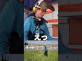 STIHL フォレストリーハーネス「アドバンス」X-TREEｍ