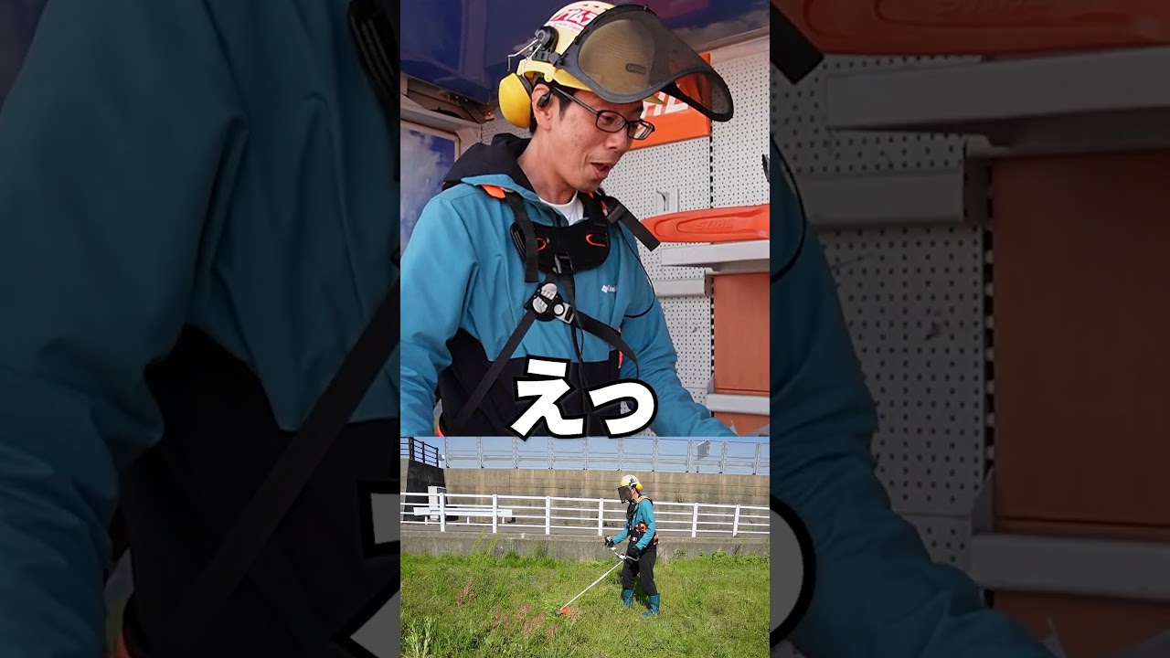 STIHL Forestry Harness 