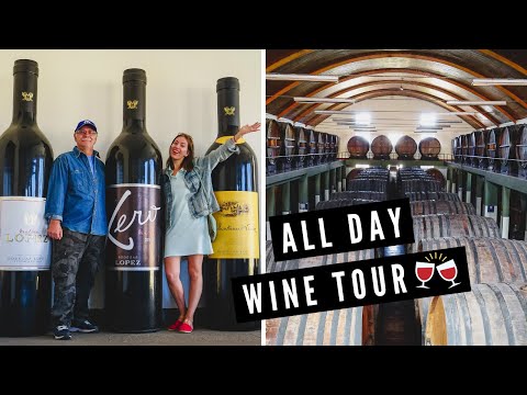 WINE TASTING in MENDOZA, ARGENTINA! 🍷 | Full Day Winery Tour of BODEGAS LÓPEZ in Maipú 🇦🇷