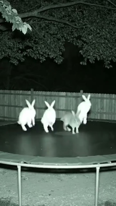 funvibe #shortsvideo #viral #funny #funnyvibe #trendingshorts #vibe #fun #vibes #funnyvideo