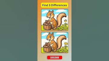 Can you find the hidden differences?#spotthedifference#findthedifference#3differences#shorts
