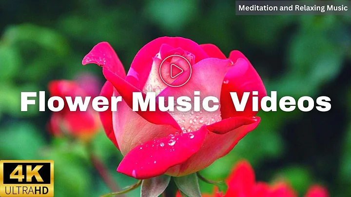 Beautiful Flowers ~ Planet Earth Amazing Nature Scenery & The Best Relax Music • 3 HOURS