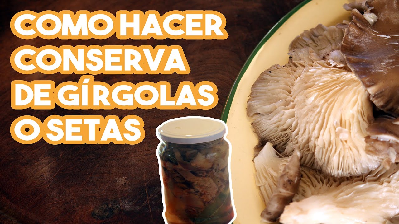 COMO HACER Conserva de GIRGOLAS o SETAS - Receta fácil y rápida