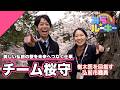 美しい弘前の桜をみらいへつなぐ桜守の一日に密着 みらい☆ルーキー
