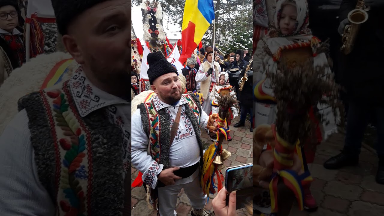 Berbecul din golaiesti 2019-2020