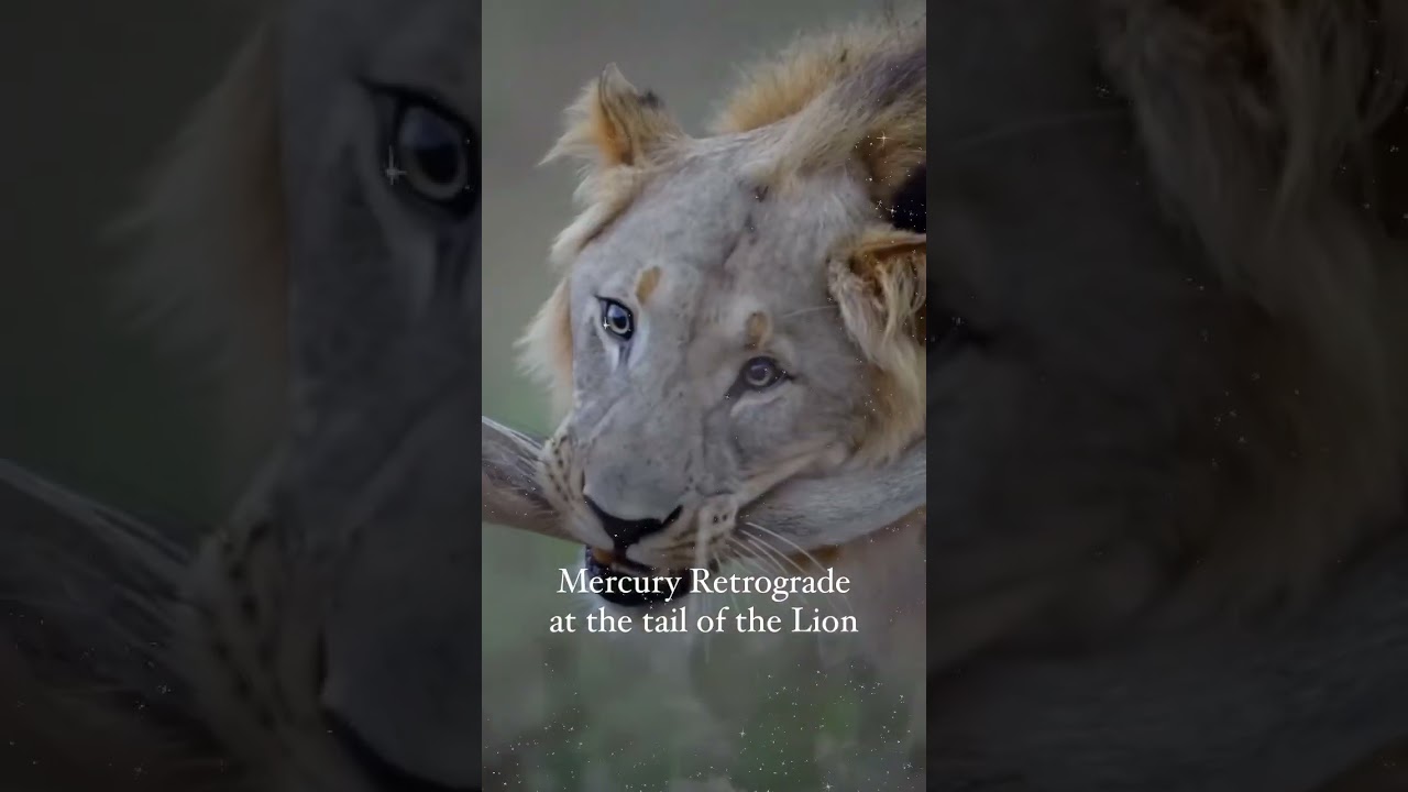 Mercury RX In true sky LEO 