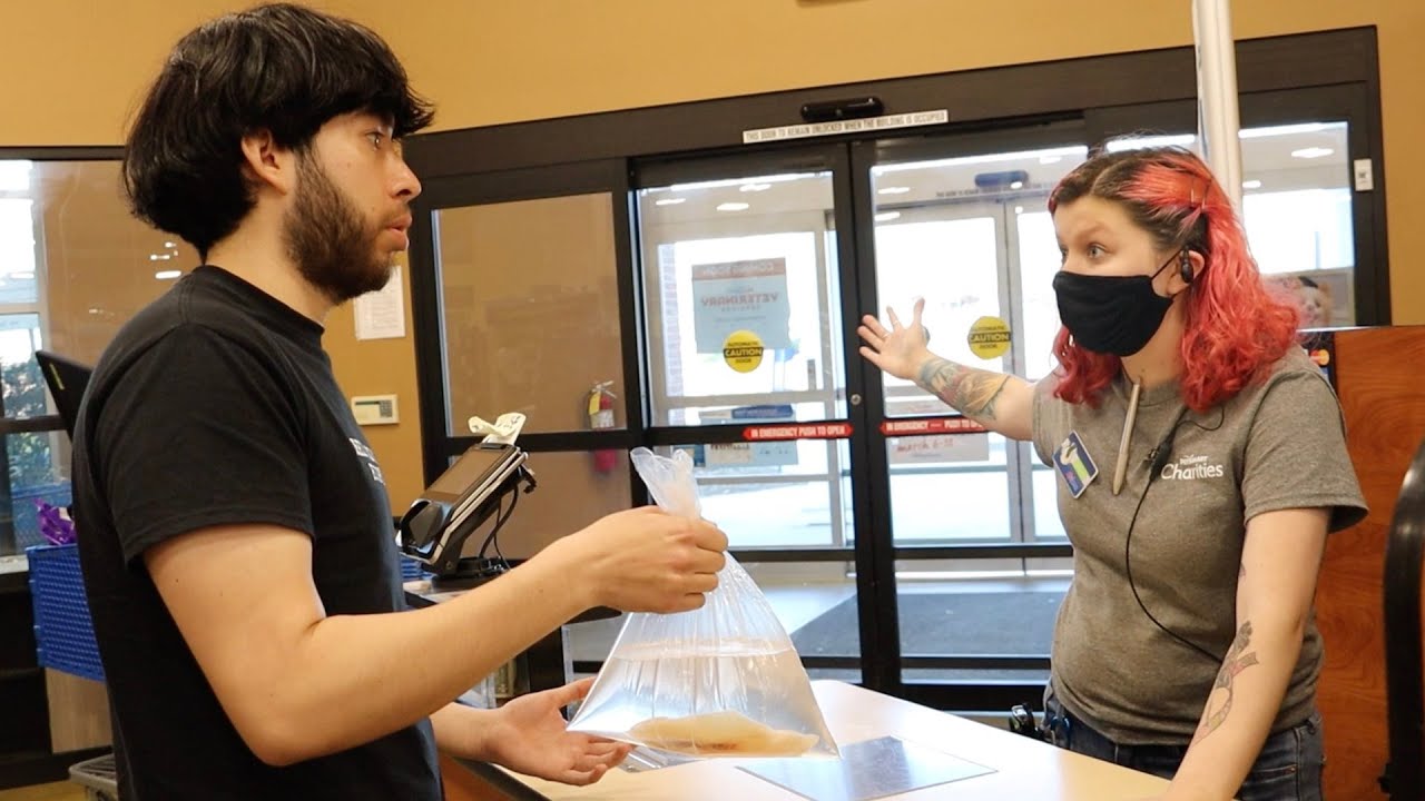 Returning Raw Fish to Pet Stores Prank! YouTube