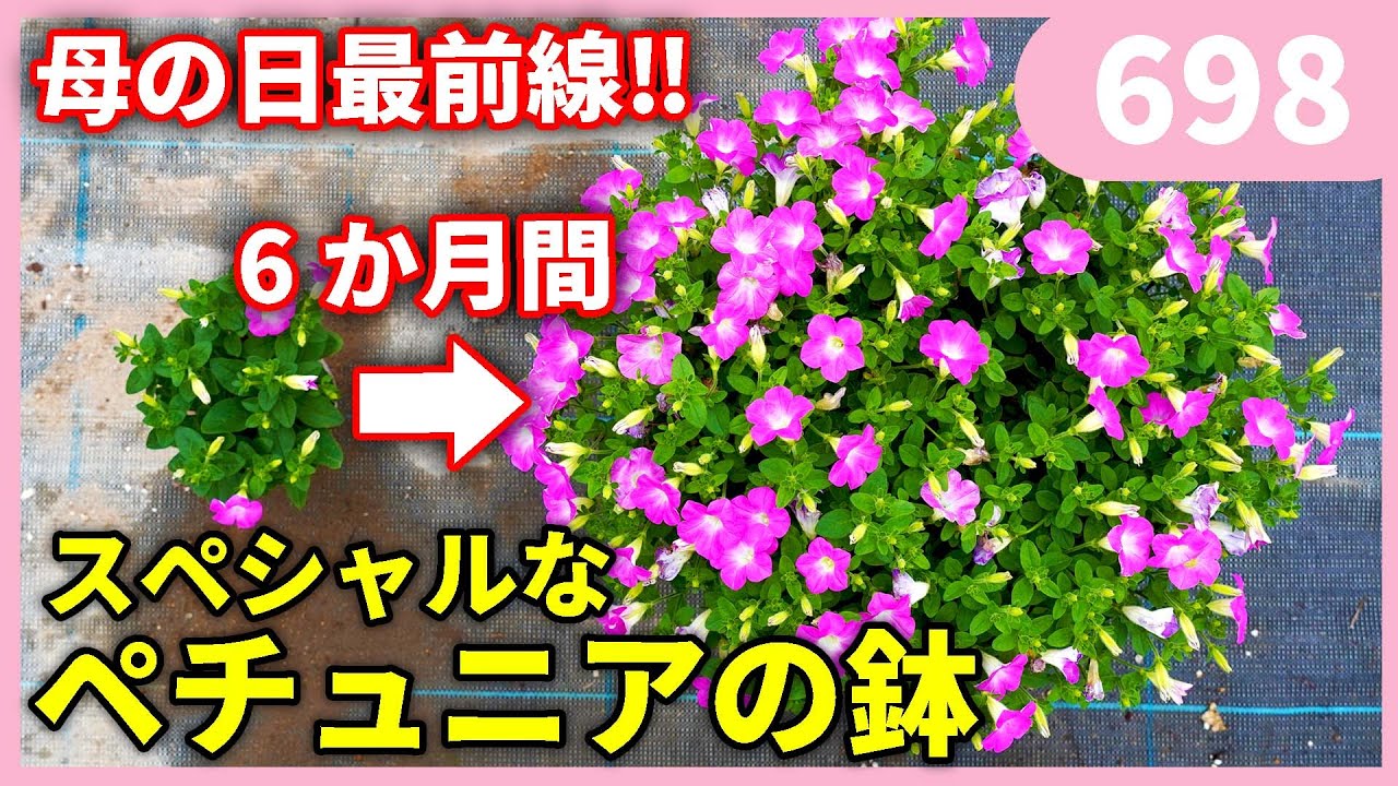 2024!! The Frontline Before Mother's Day!! by Gardening Channel