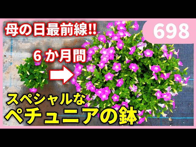 2024!! The Frontline Before Mother's Day!! by Gardening Channel