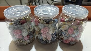 #Chocolate candy weigher filling #machine, metal detector, #PET can sealer capper labeler line