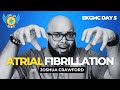 DAY 5: PART 17/20 ATRIAL FIBRILLATION