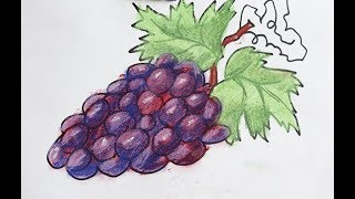 Уроки Рисования для Детей. Как Нарисовать Виноград. Рисуем Алфавит Уроки Рисования для Детей. Как Нарисовать Виноград. Рисуем Алфавит