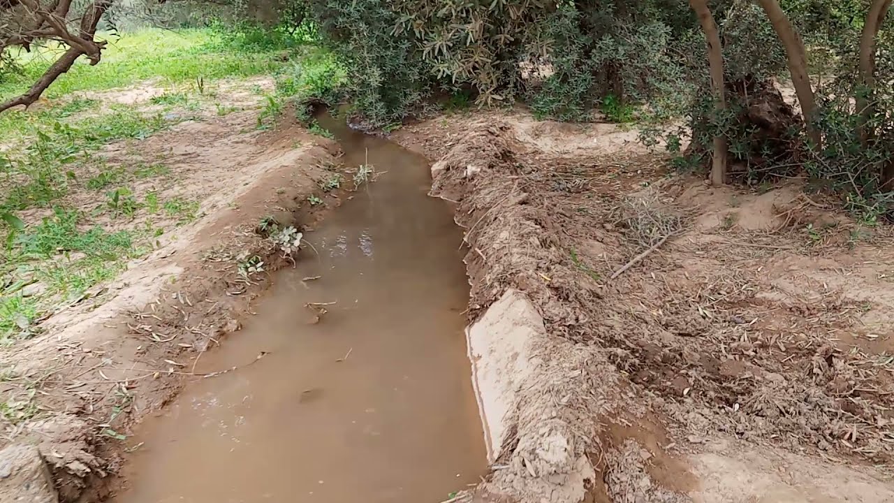 نزهة : تازمورت اقليم تارودانت الطبيعة ياسلام