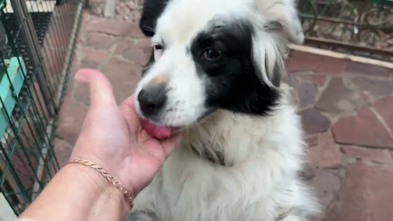 Сад 🌿🌿🌿 6 марта 26г