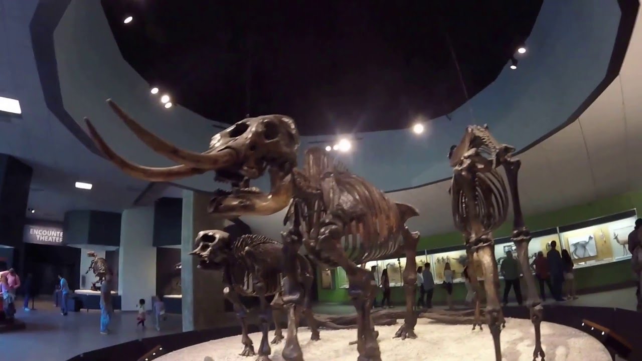 La Brea Tar Pits George C. Page Museum - YouTube