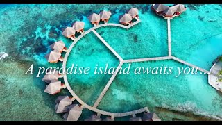 Amway DI Maldives 2026 Promotional Video
You can easily download the High Resolution version via this link: https://amwaycorp-my.sharepoint.com/:f:/g/personal/myu06wp7_amway_com/Ev9x5hzl3atPvJZQdkMrCqcBvpOyzAhrEIzdeHmrIuGlEw?e=GbTrQX
View our Website: https://www.amway.my
Say HELLO: myhelpdesk@amway.my
Read all about Amway Malaysia: https://amwaynow.my
Follow us on Social:
https://www.facebook.com/amwaymalaysia
https://www.instagram.com/amwaymy
https://www.tiktok.com/@amway_my?_t=8rwu9M9ZNiB&_r=1 Amway DI Maldives 2026 Promotional Video