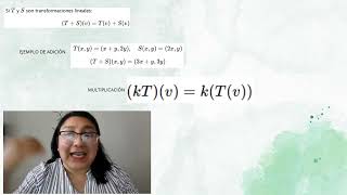 Proyecto Integrador ALGEBRA LINEAL