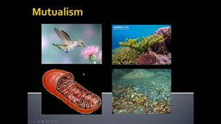 4.4.1 Coevolution and Ecological Interactions