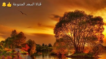 ما تيسر من سورة الكهف part 3