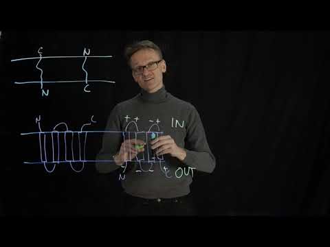 Video: Polymorfism Rs7555523 I Transmembran Och Spiral-spole-domän 1 (TMCO1) är Inte En Riskfaktor För Primär öppen Vinkel Glaukom I En Saudisk Kohort