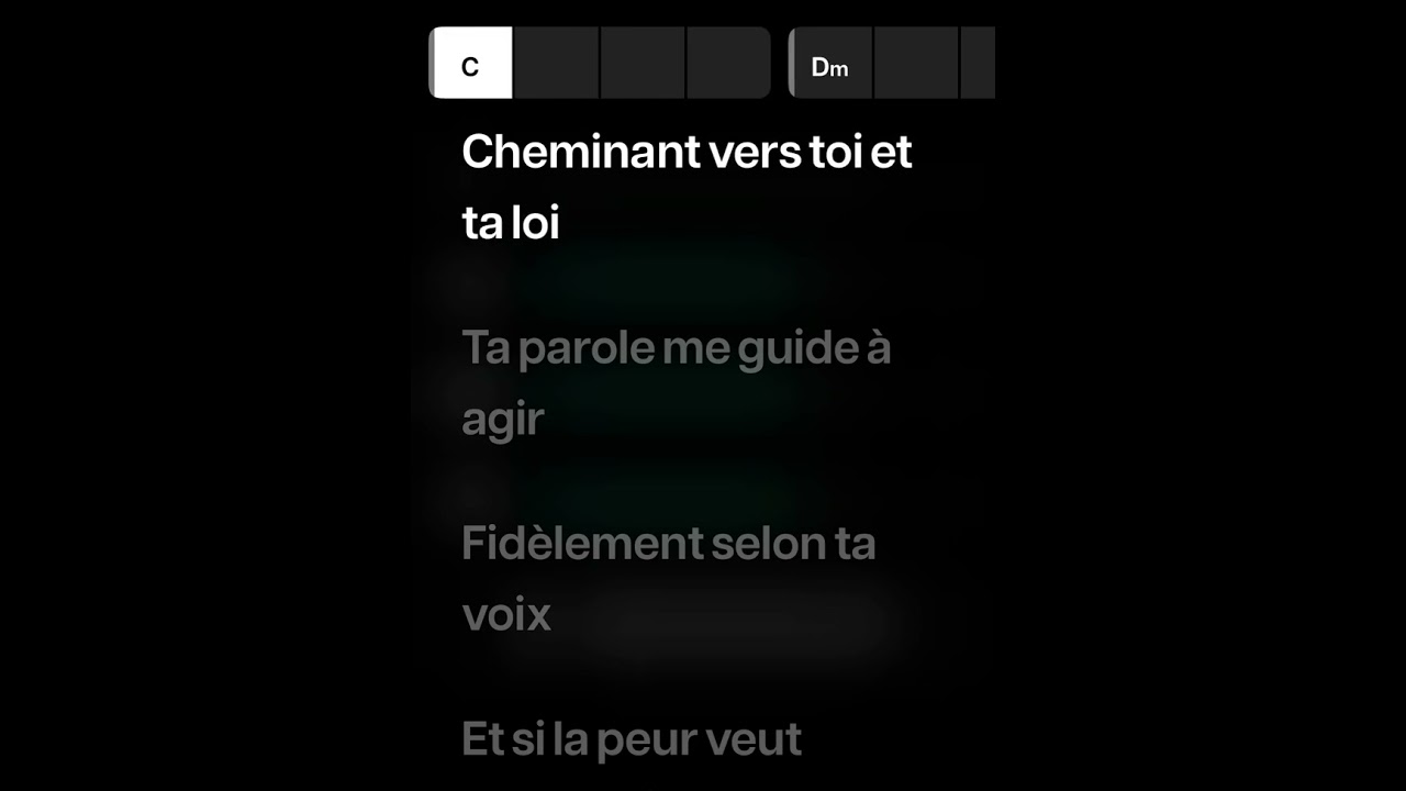 Playback - Tu es le seul - Avec moises 