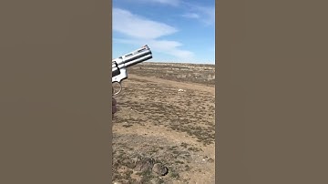 Colt Python Slo Mo 357 #python #coltpython #357 #.357 #rangeday #pistol #colt