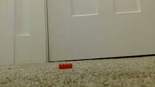 Never Step On A Lego. The Pain Is Real