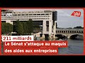 211 milliards : le Sénat s'attaque au maquis des aides aux entreprises
