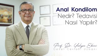 Kondilom Nedir?