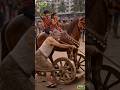 The Wooden Horse of Love 🐎 #shorts #trending #viral #youtubeshorts #emotional #nature&amp;talent #love