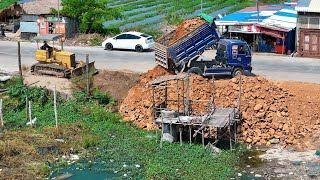 Starting a New Project, Experts Team 5ton Truck Drop Soil With Bulldozer Push Land Delete The Lake