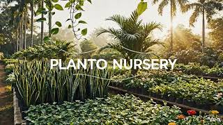 A Peaceful Walk Through a Lush Plant Nursery | Nature & Green Vibes screenshot 5