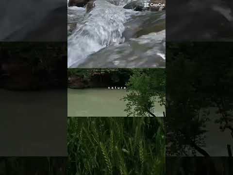 تو رو نمیدونم ولی من دلم میخواد برم یه ماه تعطیلات طبیعت طبیعت دهکده طبیعت وحشی طبیعتگردی
