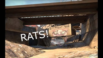 Birthday Rats Under Techno Overpass (10 Minutes)