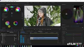 3.1 - Chỉnh màu Adobe Premiere Pro - Red Giant Magic Bullet Suite