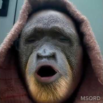 Sudah takdirnya begitu