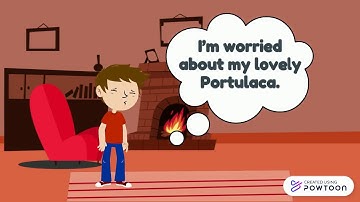 Cognition(CLIL) - situation