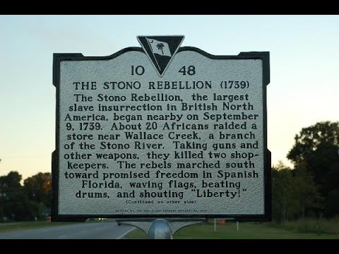 ⁣Why Didn't We Fight Back - Introduction to Gullah & Black Seminole Wars