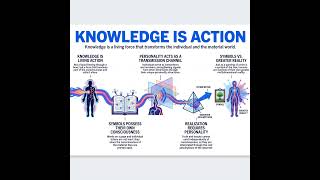412  Knowledge Physically Rewrites Your Cellular Structure