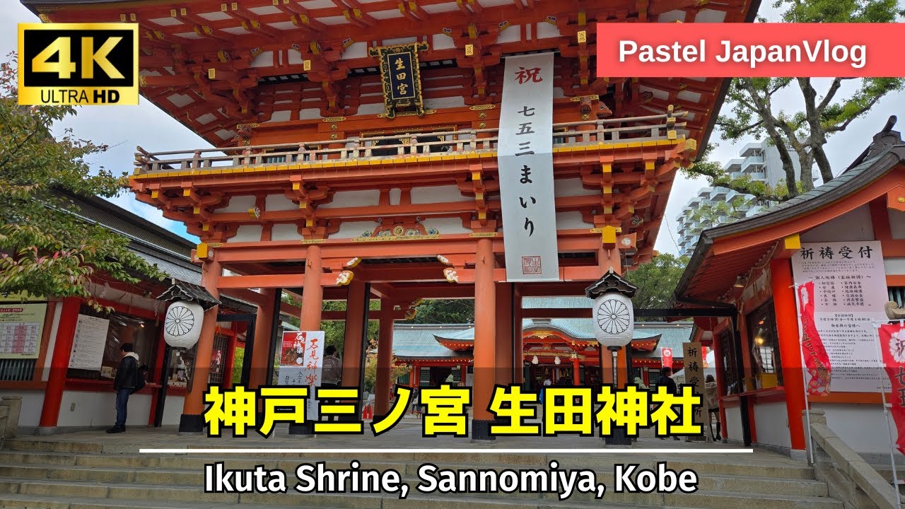 【神戸観光】ご縁結びの神様『生田神社』散策⛩️[Kobe Tourism] Stroll around Ikuta Shrine, the shrine of matchmaking