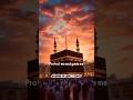 o allha the Almigh ty protect meal and guide me #shabbir #islamic #studio