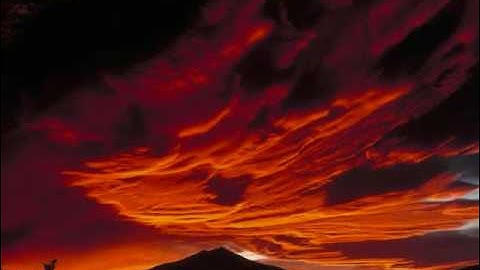 YouTube ما شاء الله ..تلاوة خاشعة بصوت الشيخ ادريس ابكر