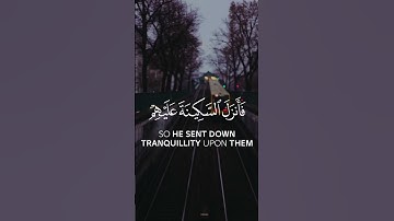 آية في فضل الصحابة رحمهم الله #تلاوة جميلة #قرآن #قران_كريم
