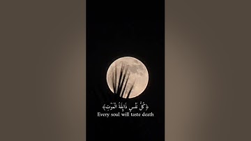 كل نفس ذائقة الموت. سورة العنكبوت