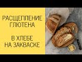 Как разрушается ГЛЮТЕН в хлебе на закваске / Антон Корнышов